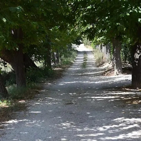 Mulberries Vakantiehuis *