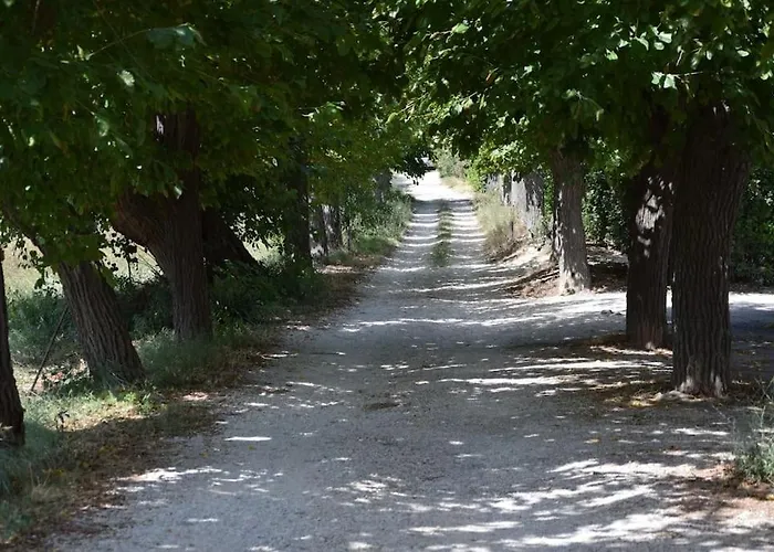 Mulberries Дом отдыха *