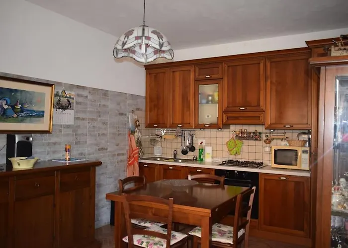 Mulberries * Торторето